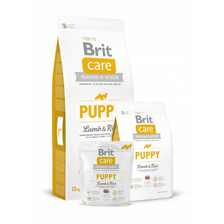 Brit care puppy 12kg