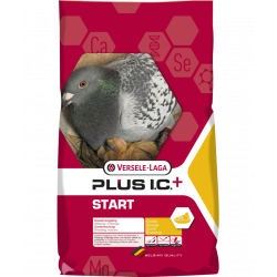 start plus ic élevage 20kg VERSELE LAGA