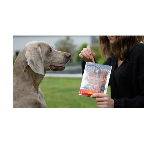 Friandises récompenses pour chien