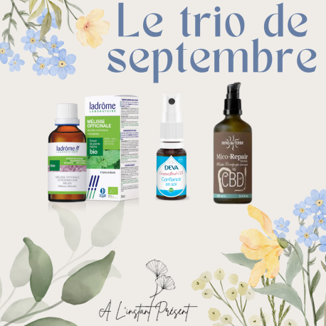 Trio de Septembre