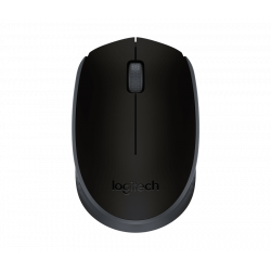 Souris optique Logitech M171 noir, gris