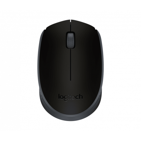 Souris optique Logitech M171 noir, gris