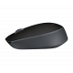 Souris optique Logitech M171 noir, gris