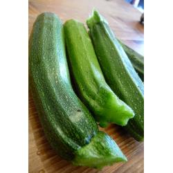 Courgette verte