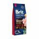 brit adulte large