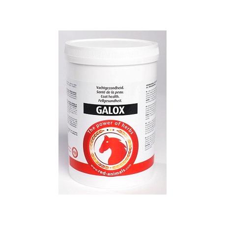 red horse galox 700gr pour chevaux