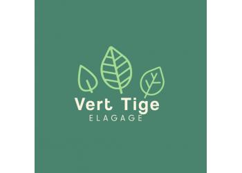 VERT TIGE ELAGAGE